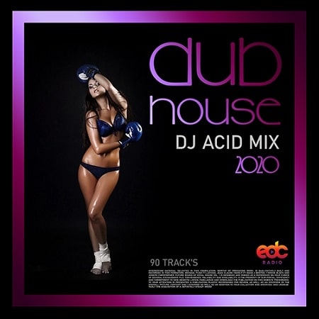 Dub House: DJ Acid Mix (2020) MP3